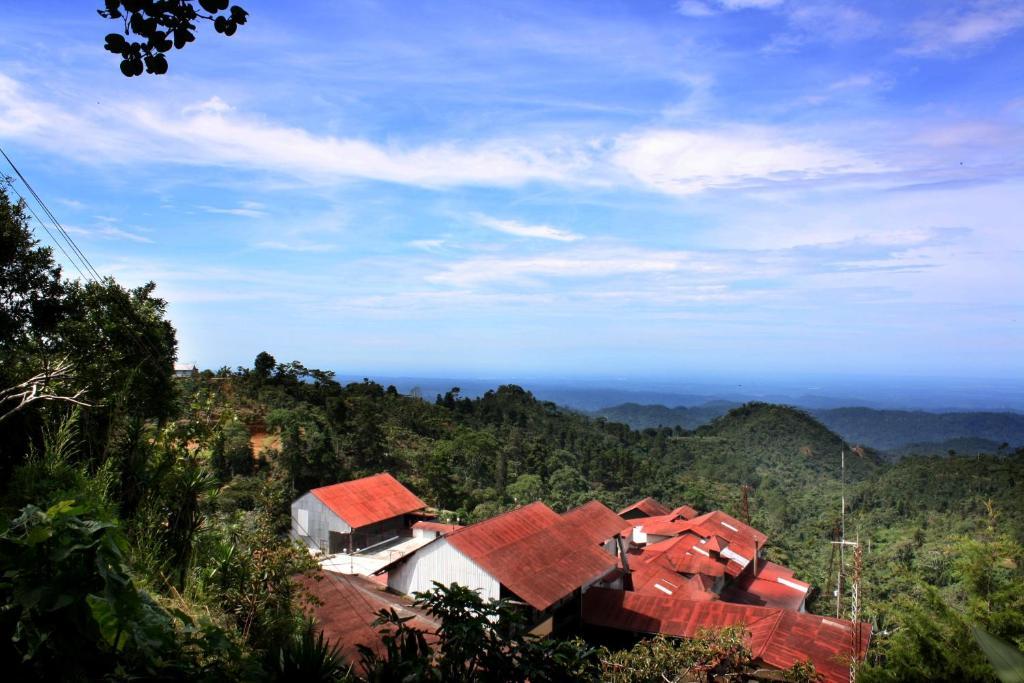 Finca Hamburgo La Ruta Del Cafe Tuzantan ภายนอก รูปภาพ