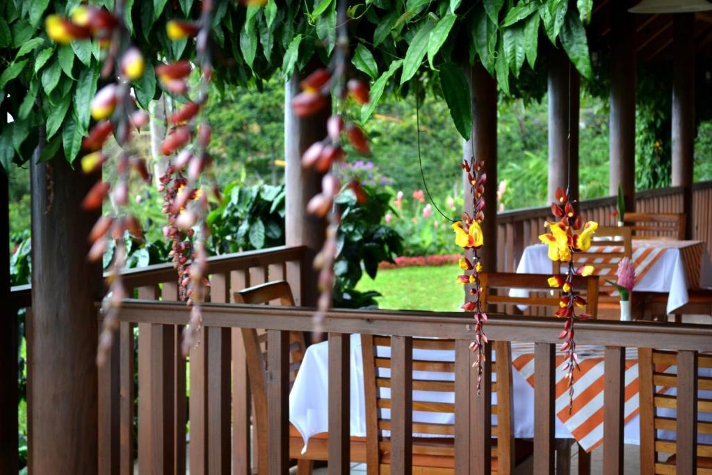 Finca Hamburgo La Ruta Del Cafe Tuzantan ภายนอก รูปภาพ