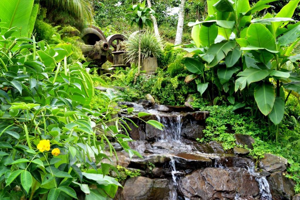 Finca Hamburgo La Ruta Del Cafe Tuzantan ภายนอก รูปภาพ